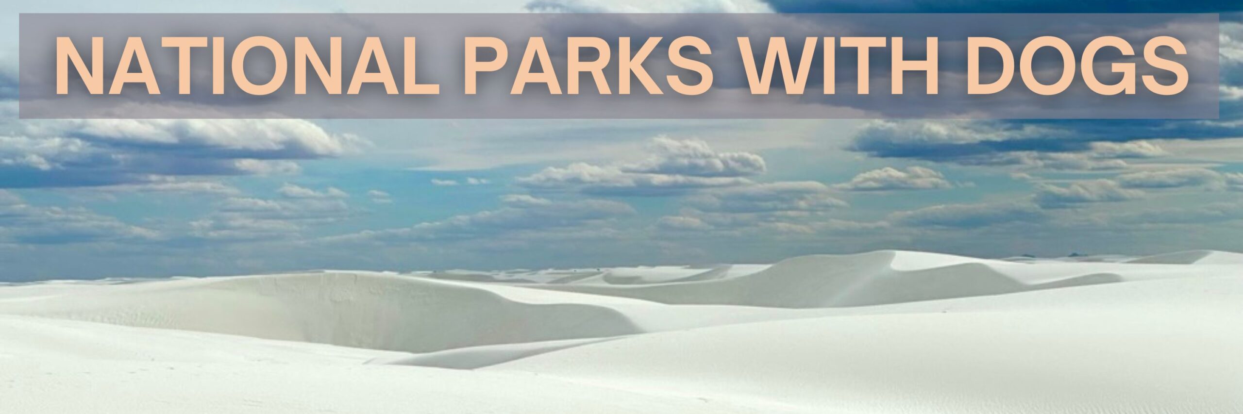 White sand dunes, with words: National Parks with Dogs